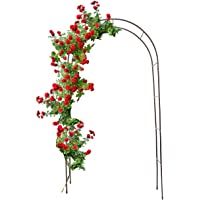 Los mejores  - Relaxdays 10018871 - Arco para Rosas- Medidas 240 x 140 cm- Pintura electrostática